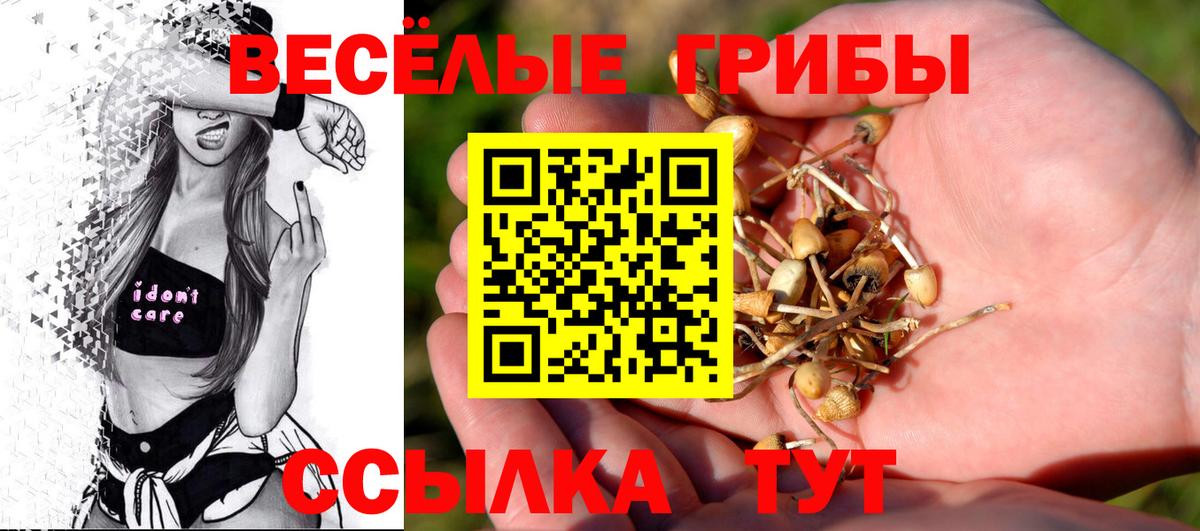 Галлюциногенные грибы ЛСД  Вход с VPN  Канаш  Галлюциногенные грибы ЛСД 